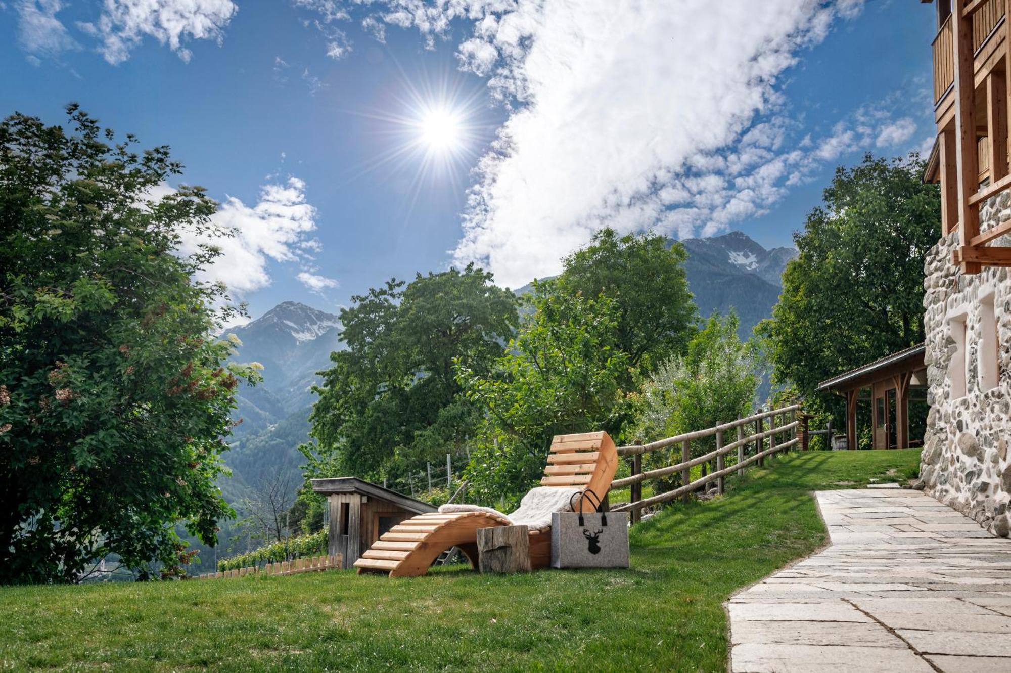Trinnerhof- Hof Chalets Und Obsthof Mit Zimmer Natz-Schabs 외부 사진